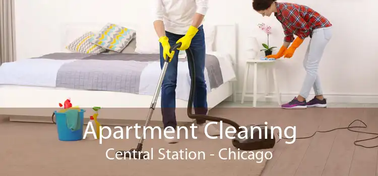 Apartment Cleaning Central Station - Chicago