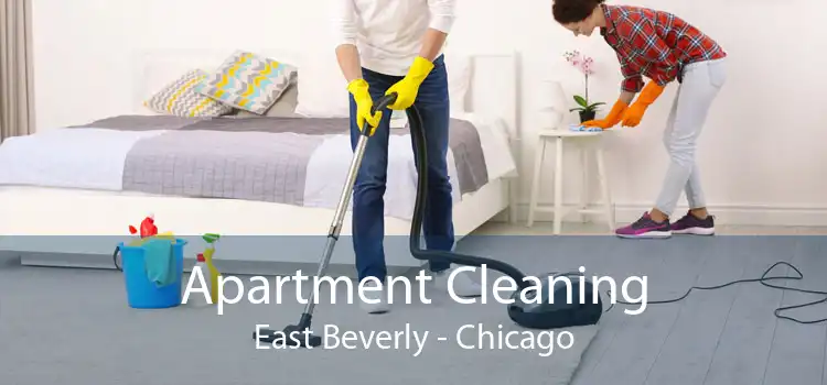 Apartment Cleaning East Beverly - Chicago