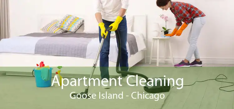 Apartment Cleaning Goose Island - Chicago