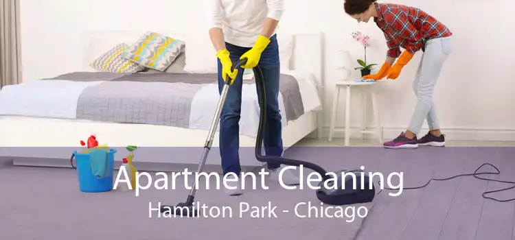 Apartment Cleaning Hamilton Park - Chicago