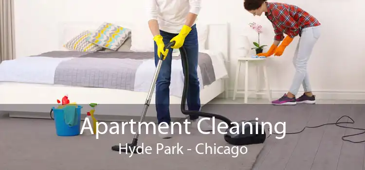 Apartment Cleaning Hyde Park - Chicago