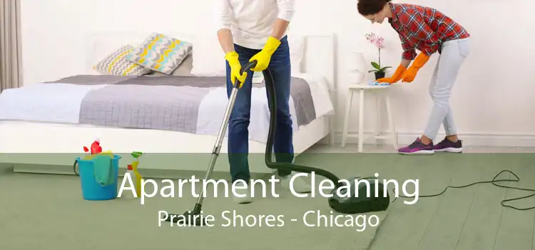 Apartment Cleaning Prairie Shores - Chicago
