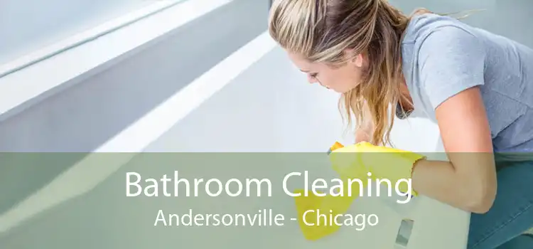 Bathroom Cleaning Andersonville - Chicago
