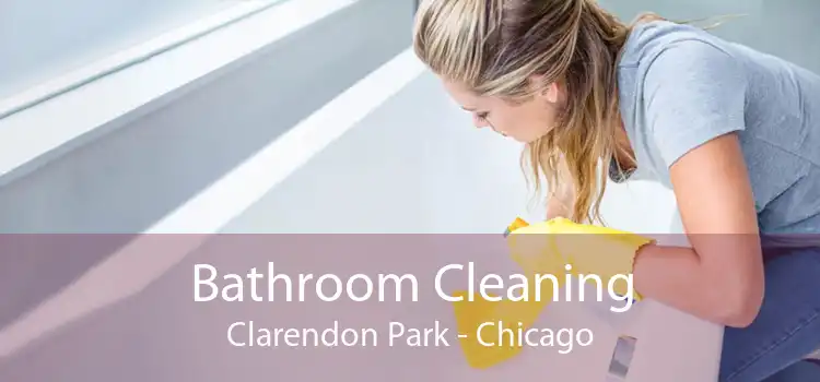 Bathroom Cleaning Clarendon Park - Chicago
