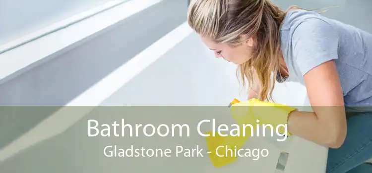 Bathroom Cleaning Gladstone Park - Chicago