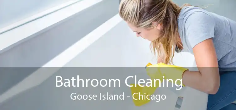 Bathroom Cleaning Goose Island - Chicago