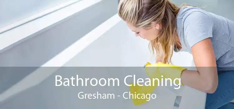 Bathroom Cleaning Gresham - Chicago
