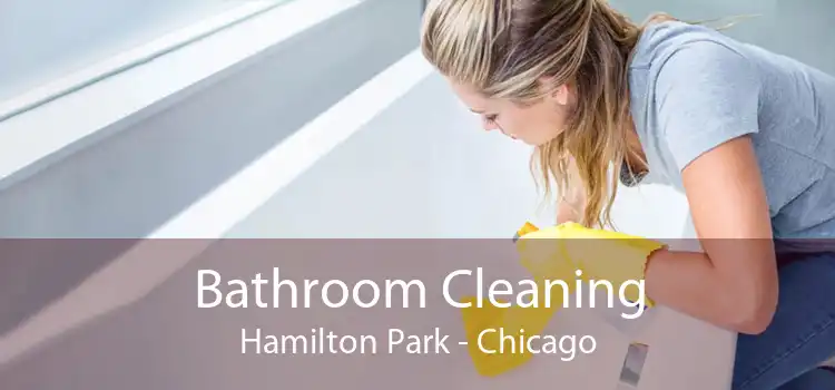 Bathroom Cleaning Hamilton Park - Chicago