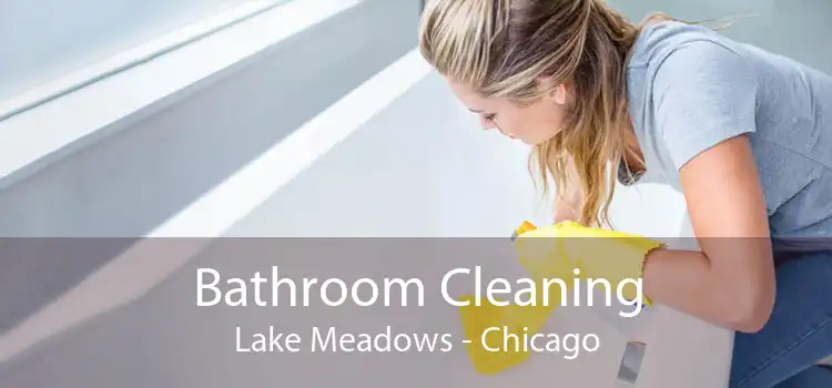 Bathroom Cleaning Lake Meadows - Chicago