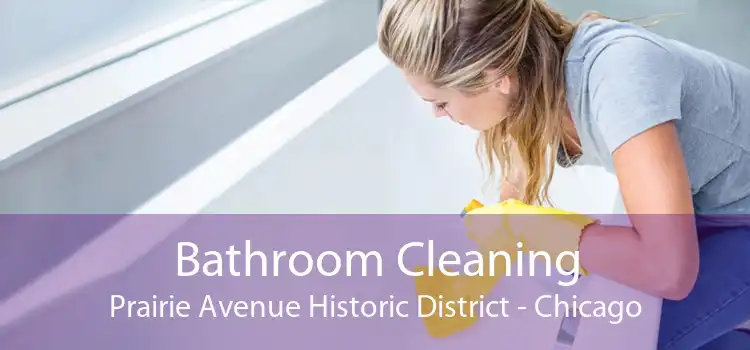 Bathroom Cleaning Prairie Avenue Historic District - Chicago