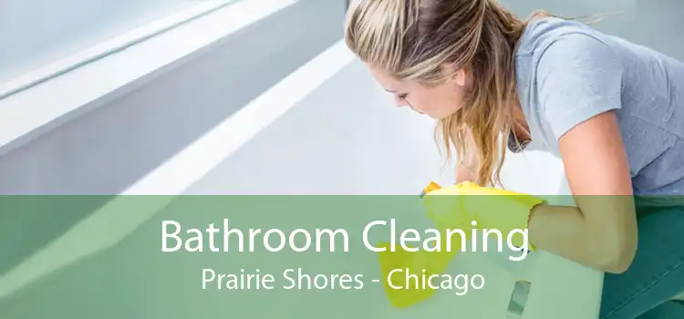 Bathroom Cleaning Prairie Shores - Chicago