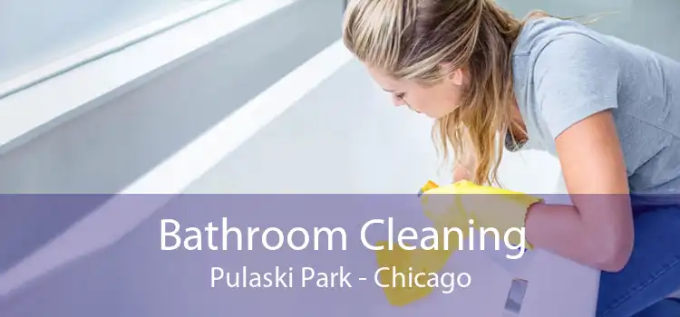 Bathroom Cleaning Pulaski Park - Chicago