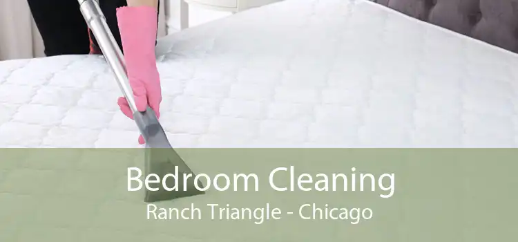 Bedroom Cleaning Ranch Triangle - Chicago