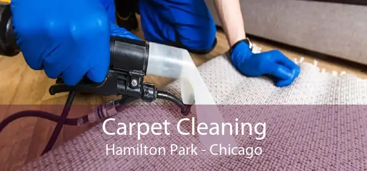 Carpet Cleaning Hamilton Park - Chicago