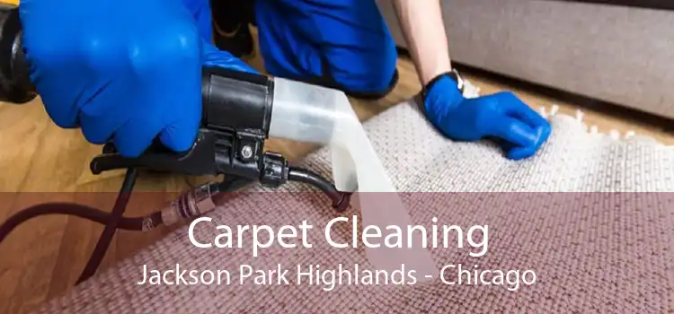 Carpet Cleaning Jackson Park Highlands - Chicago