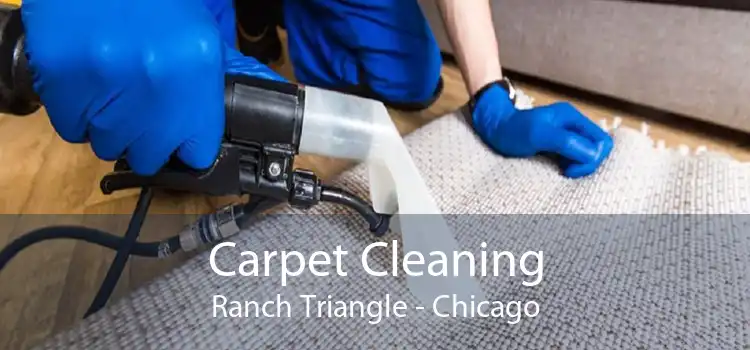 Carpet Cleaning Ranch Triangle - Chicago