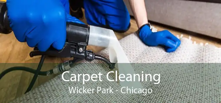 Carpet Cleaning Wicker Park - Chicago