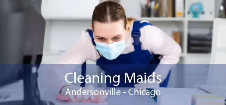 Cleaning Maids Andersonville - Chicago
