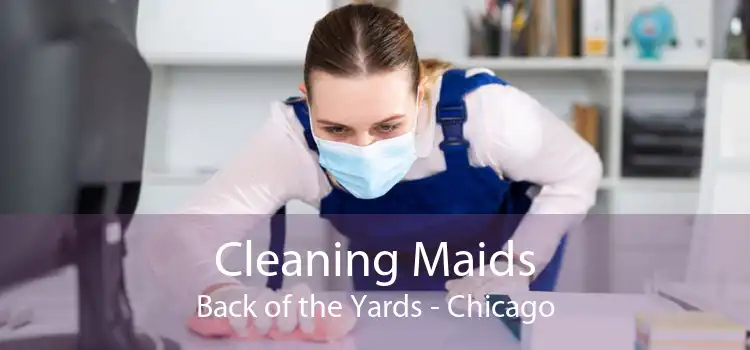 Cleaning Maids Back of the Yards - Chicago