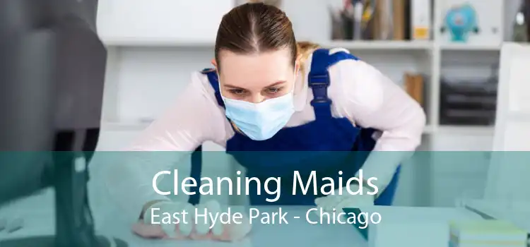 Cleaning Maids East Hyde Park - Chicago