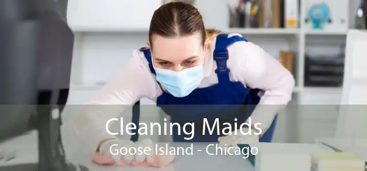 Cleaning Maids Goose Island - Chicago