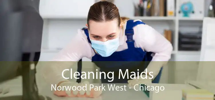 Cleaning Maids Norwood Park West - Chicago