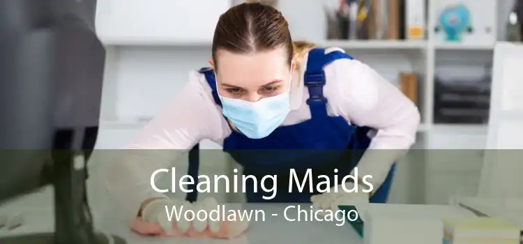 Cleaning Maids Woodlawn - Chicago