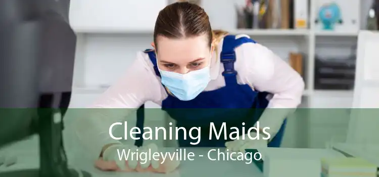 Cleaning Maids Wrigleyville - Chicago