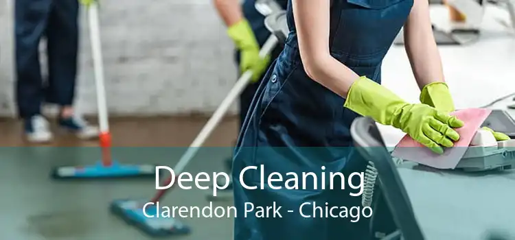Deep Cleaning Clarendon Park - Chicago