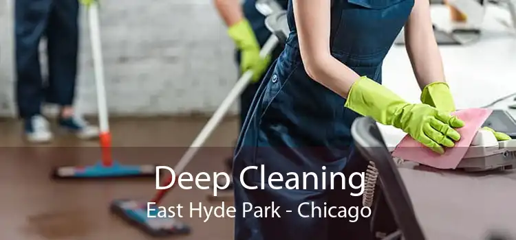 Deep Cleaning East Hyde Park - Chicago