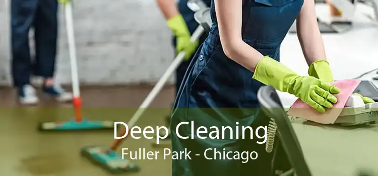 Deep Cleaning Fuller Park - Chicago