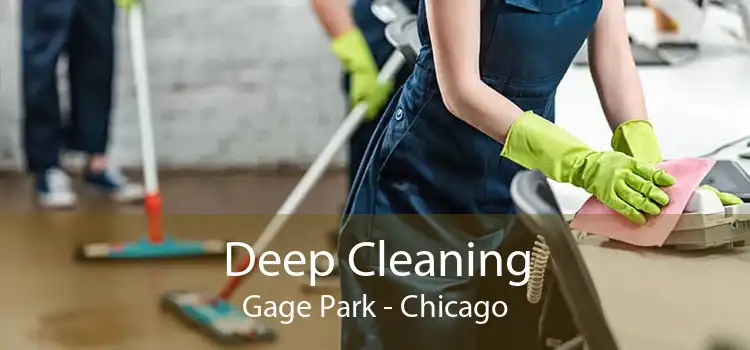 Deep Cleaning Gage Park - Chicago