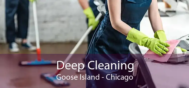 Deep Cleaning Goose Island - Chicago