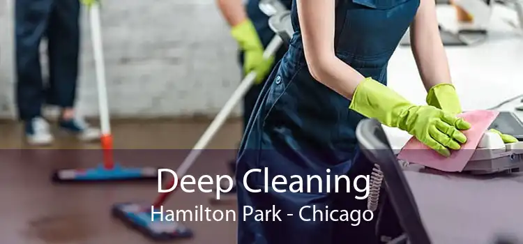 Deep Cleaning Hamilton Park - Chicago