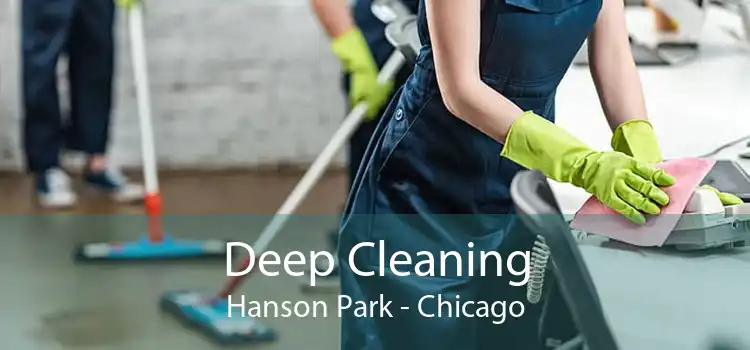 Deep Cleaning Hanson Park - Chicago