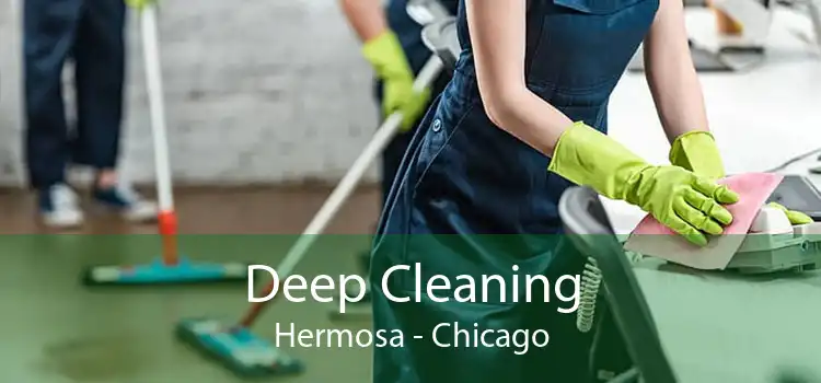 Deep Cleaning Hermosa - Chicago
