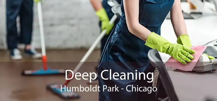 Deep Cleaning Humboldt Park - Chicago