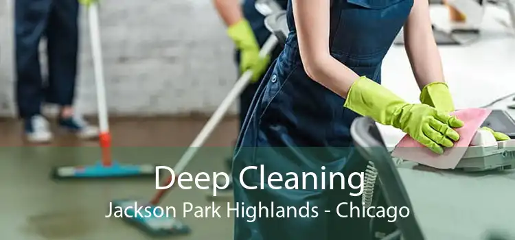 Deep Cleaning Jackson Park Highlands - Chicago