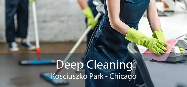 Deep Cleaning Kosciuszko Park - Chicago