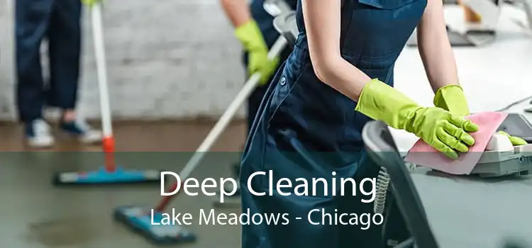 Deep Cleaning Lake Meadows - Chicago