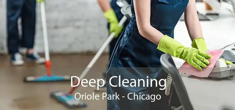 Deep Cleaning Oriole Park - Chicago