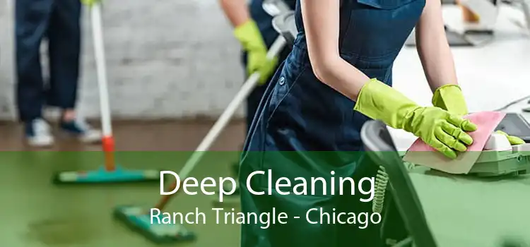 Deep Cleaning Ranch Triangle - Chicago