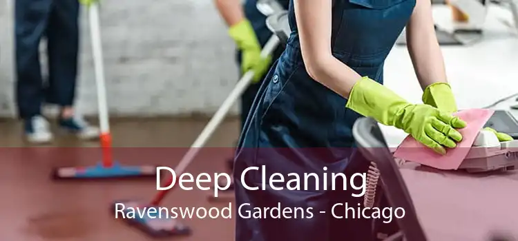 Deep Cleaning Ravenswood Gardens - Chicago