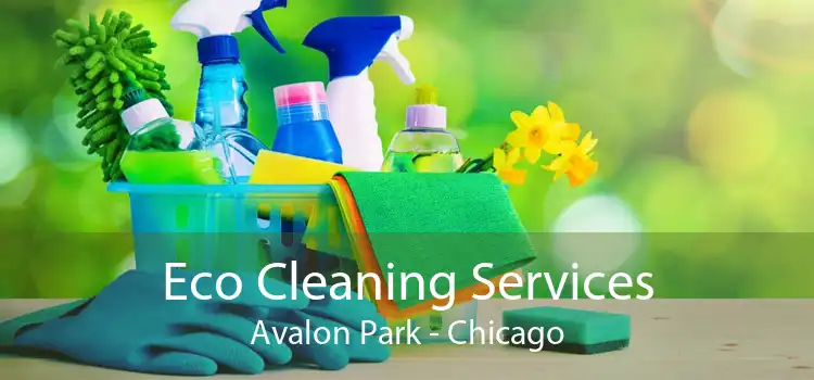 Eco Cleaning Services Avalon Park - Chicago
