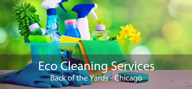 Eco Cleaning Services Back of the Yards - Chicago