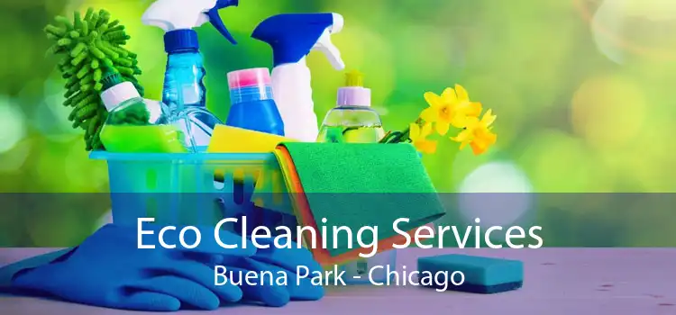 Eco Cleaning Services Buena Park - Chicago