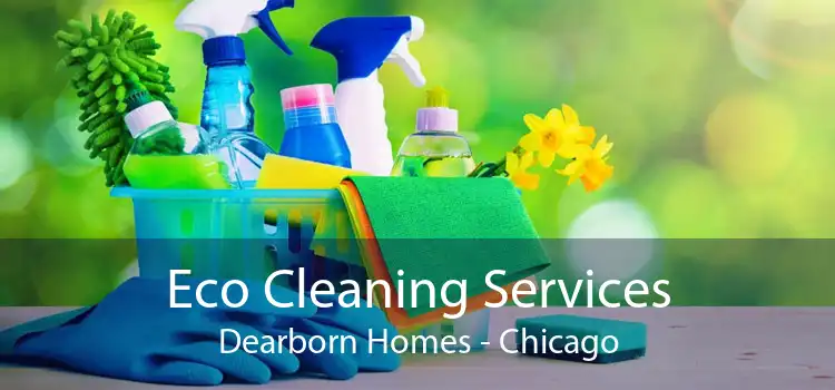 Eco Cleaning Services Dearborn Homes - Chicago