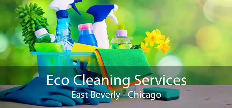 Eco Cleaning Services East Beverly - Chicago
