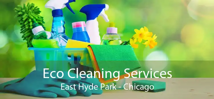 Eco Cleaning Services East Hyde Park - Chicago