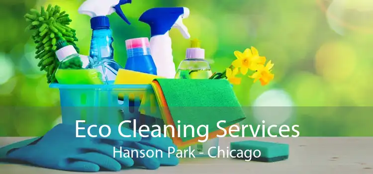 Eco Cleaning Services Hanson Park - Chicago
